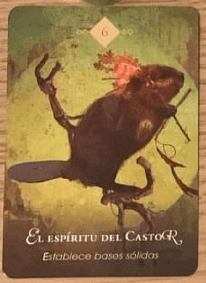 ESPÍRITU DEL CASTOR Establecer una base sólida
Mensaje del Oráculo: Espiritu Castor está aquí para contarte sobre un poder que vive dentro de ti que nace del Espiritu, la Fuente de la cual surge toda la vida. Este es el poder de establecer la conexión sagrada con la conciencia universal para que puedas cocrear deliberadamente el mundo que deseas. Sepa que se necesita trabajo, determinación y esfuerzo sostenido para cocrear y establecer una base sólida para sus sueños. Si, con Espiritu como tu compañero, traes las ramas y ramas de tus intenciones y deseos y los extiendes por el sy rio del tiempo, te sorprenderá lo que puedes hacer. Encontrará que incluso puede cambiar la dirección del flujo de la vida. Puedes asegurarte de que tu mundo sea próspero y resuelto, lleno de amor y alegria, y rico en magia y significado.
GBEAVER SPIRG
Lay a solid foundation
Lo que deseas vendrá a ti y permanecerá de manera sostenible si construyes sobre una base sólida. Mantenga su intención y energia consistentes y deliberadas, utilizando todos sus recursos y la energía de este tiempo maravilloso y productivo. Ten fe, porque con el Espiritu para cocrear contigo, tu éxito está asegurado. El espíritu es tu compañero, ayudándote mientras cambias el curso de tu vida de la forma que tu corazón desea.
Mensaje de protección: Espiritu Castor ha venido para advertirte que compruebes si hay madera podrida en los cimientos de tus sueños. Tal vez construiste tus esperanzas sobre promesas defectuosas o ilusiones de que algo funcionaría solo porque lo querias. Tal vez tomaste decisiones desde un lugar de indignidad, con la esperanza de que una vez que obtuvieras lo que deseabas, de alguna manera te cambiaria y mejoraria todo, y tuviste que enfrentar la verdad de que no fue así. O Espiritu Castor puede estar diciéndole que es hora de aceptar las cosas como son y tal vez considere abandonar el proyecto, la relación o la situación para que pueda dejar espacio para algo mejor. Quizás necesites regresar y reconstruir una base solida, porque lo que deseas puede no estar alineado con lo que tu alma pretende.
Espiritu Castor dice que siempre puedes estar ocupado y construir algo nuevo y nuevo si el deseo es verdadero. Todo tipo de milagros pueden surgir de una base nueva y sólida